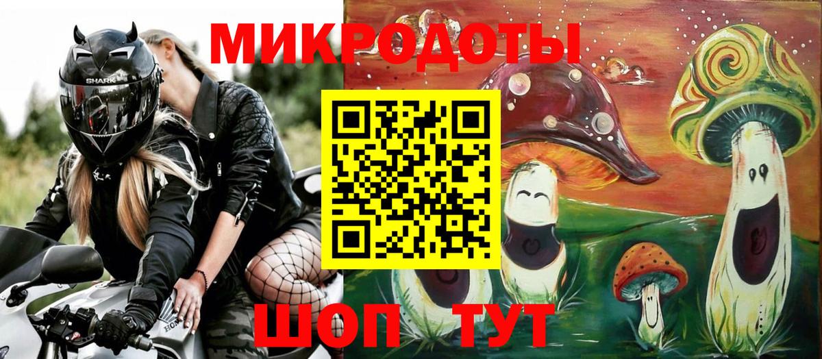 Красный Сулин  продажа наркотиков  Вход с VPN  Псилоцибиновые грибы MAGIC MUSHROOMS  Псилоцибиновые грибы GOLDEN TEACHER 