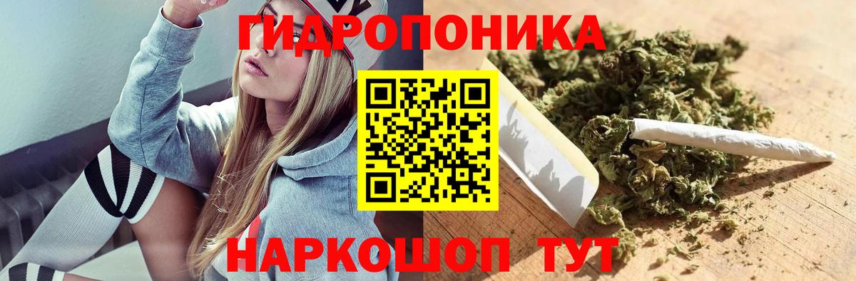 Канабис сатива  Вход с VPN  Красный Сулин  Каннабис ГИДРОПОН  Бошки Шишки сатива 